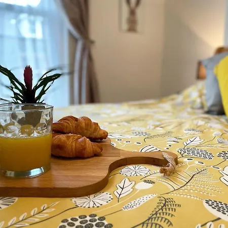 Lavender كيسويك